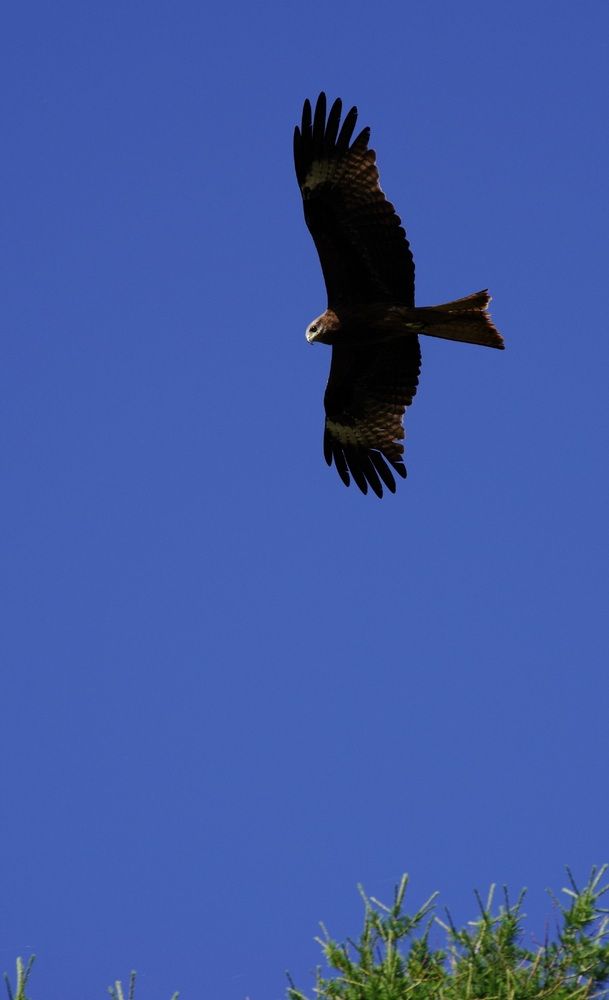 Photograph by Андрей Корытов