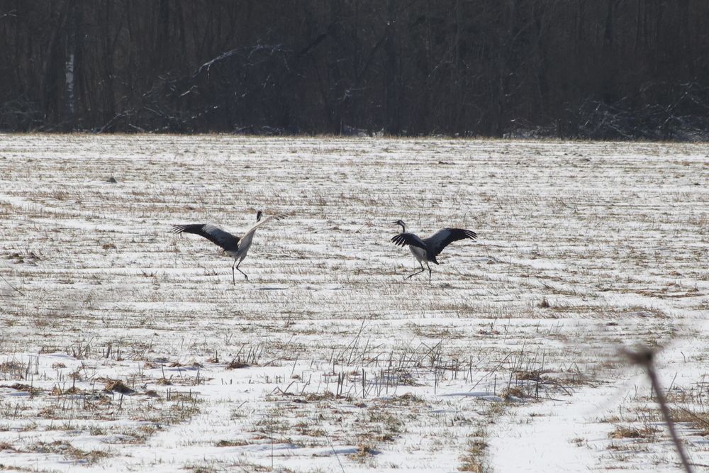 Фотография автора Тимофей Петров