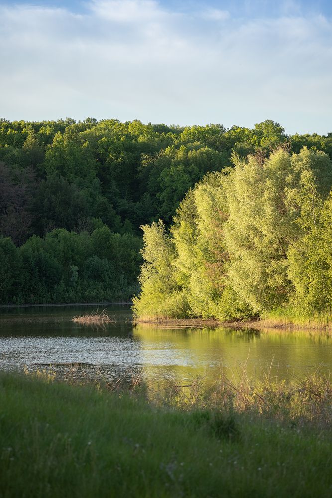 Photograph by Елена Косинова