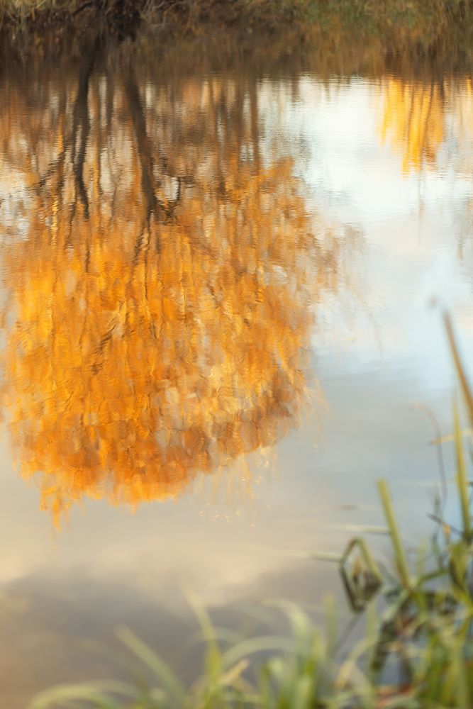 Photograph by Елена Косинова