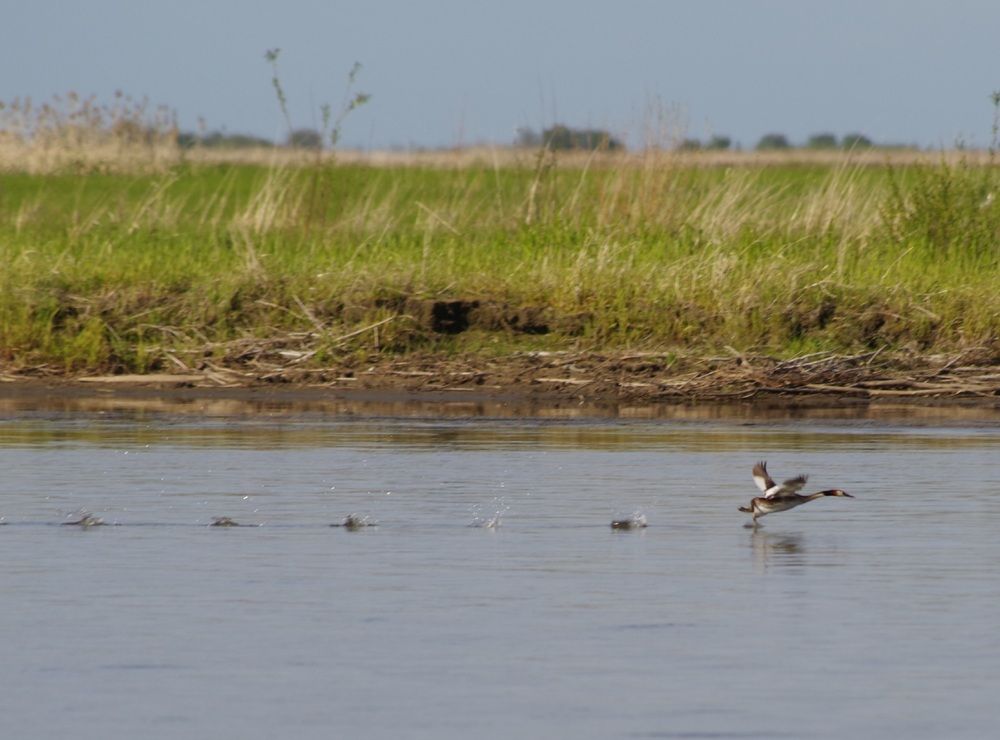 Photograph by Андрей Корытов