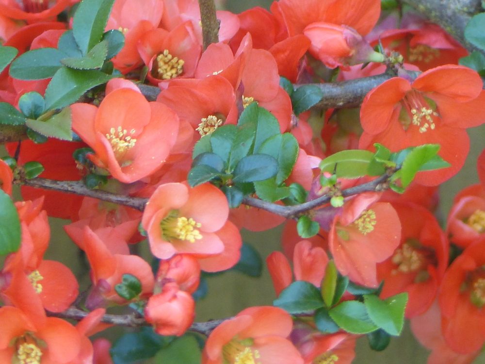 Photograph by Isabella Northrop