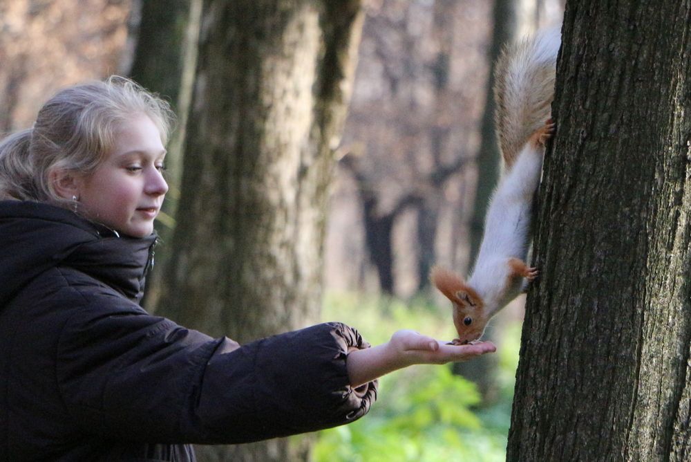 Photograph by Владимир Спивак