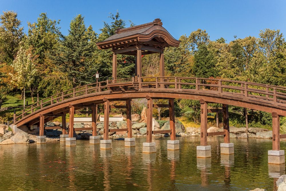 Фотография автора Галина Шепелева