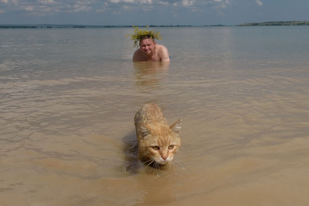 Photograph by Светлана Артюшина