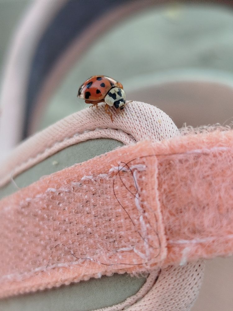 Photograph by Елизавета Слесарева