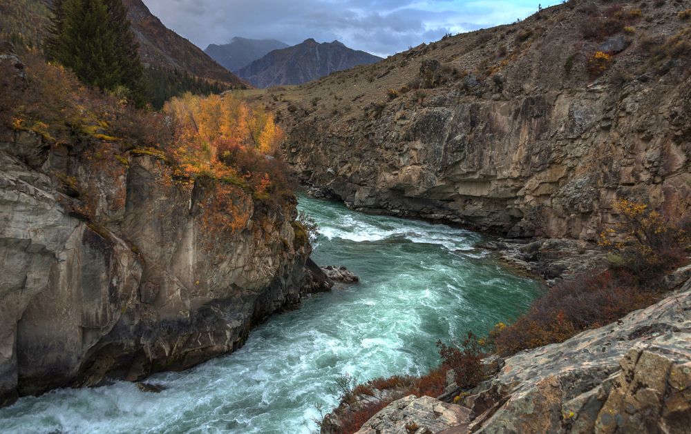 Photograph by Tatyana