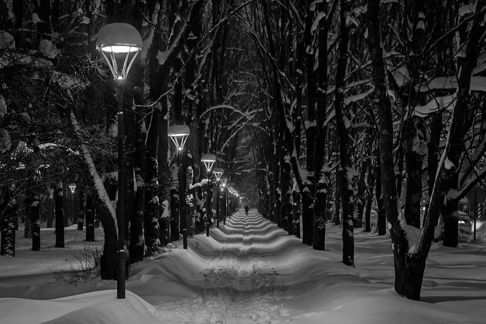 Photograph by Сергей Пушкин