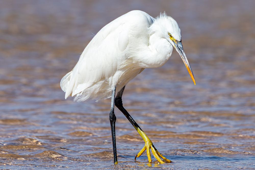 Photograph by Вадим Загуменнов