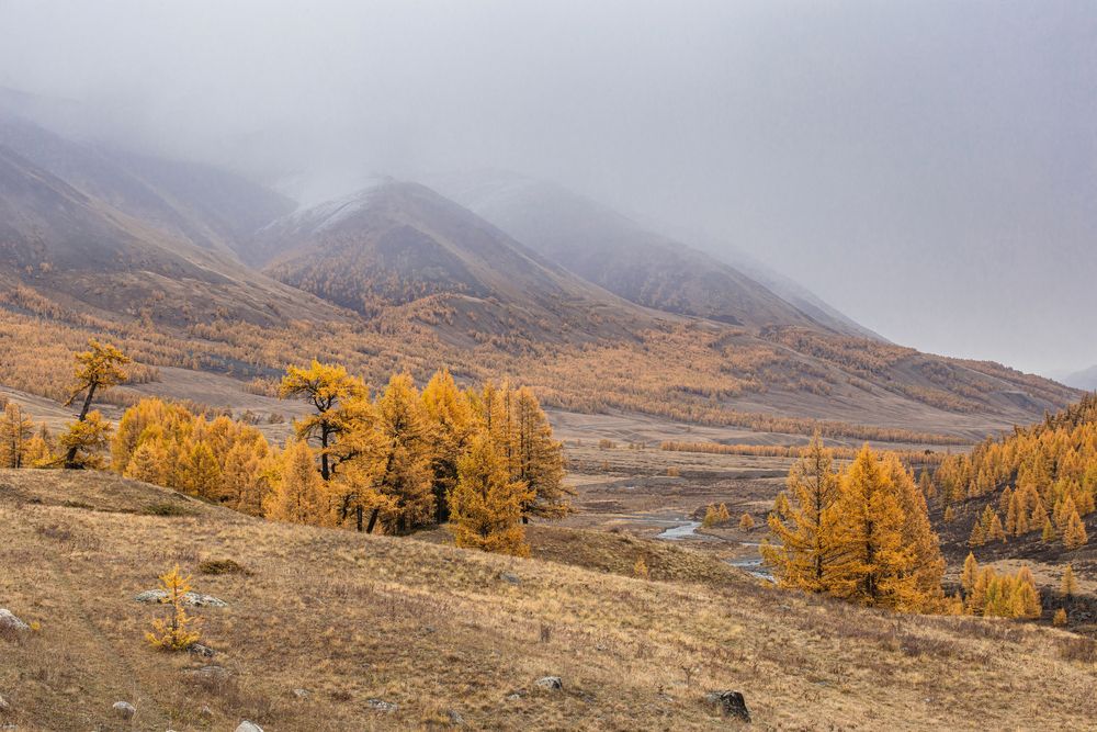 Photograph by Елена Павлова
