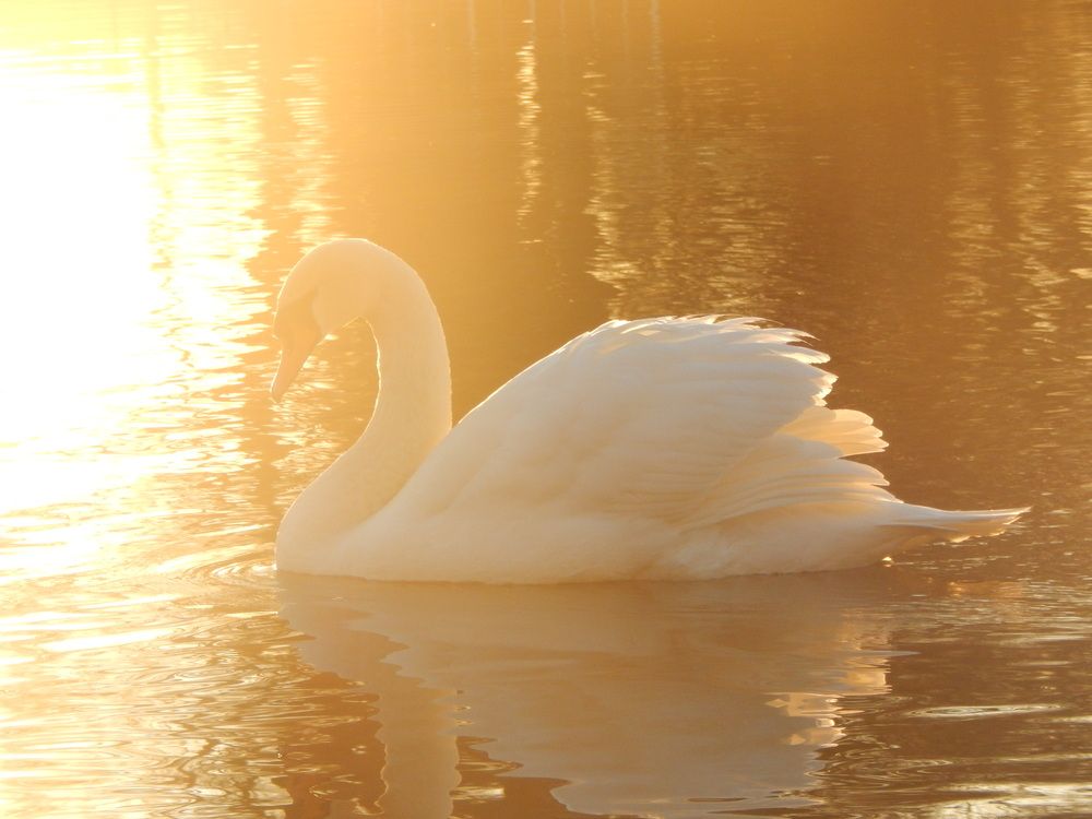 Photograph by Кирилл Елесин