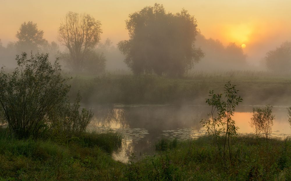 Photograph by Сергей Дишук