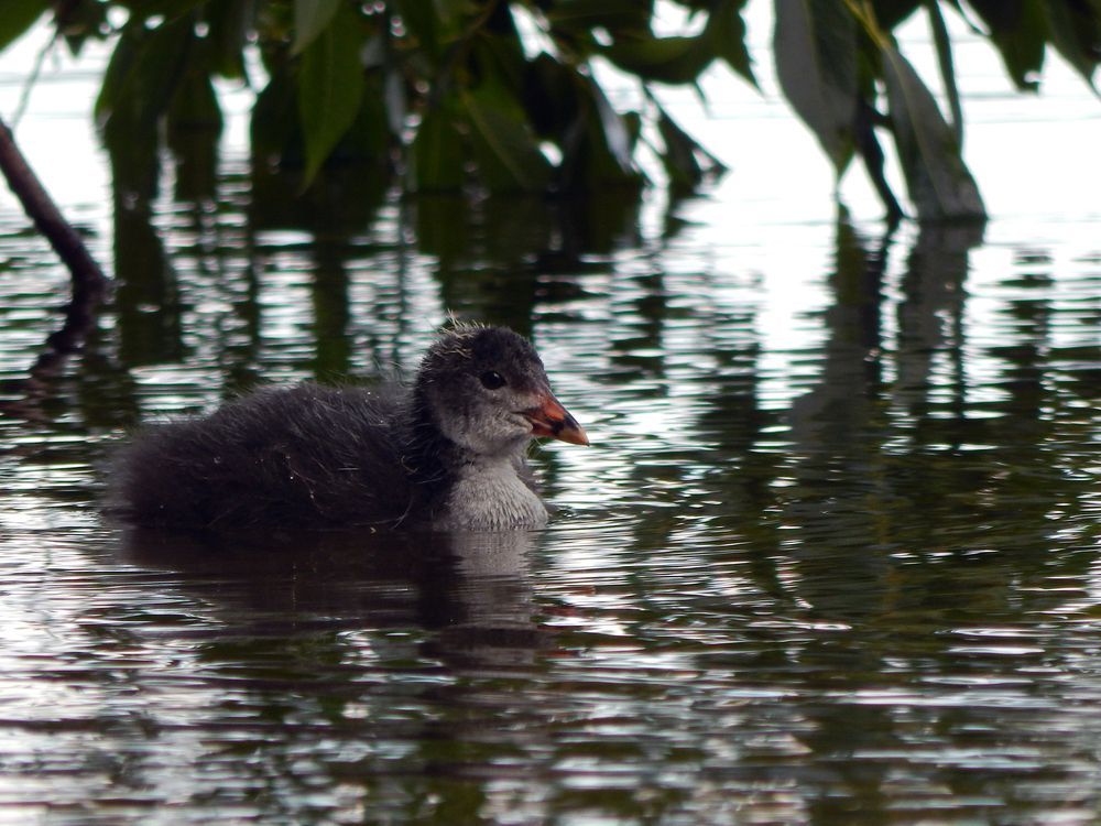 Photograph by Кирилл Елесин