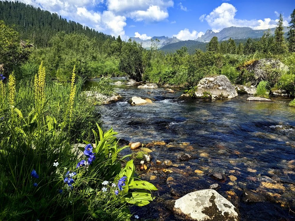 Река Нижняя Буйба