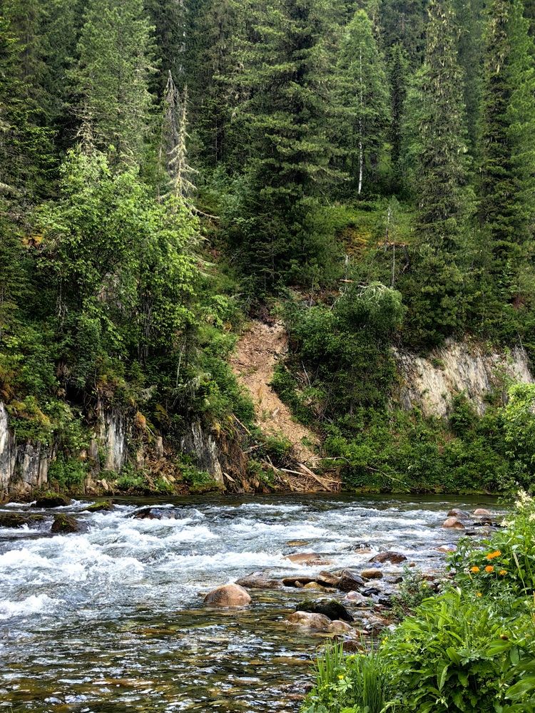 Река Тушканчик