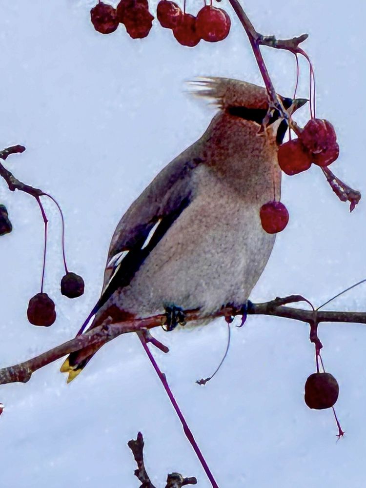Фотография автора Галина Шиманцова