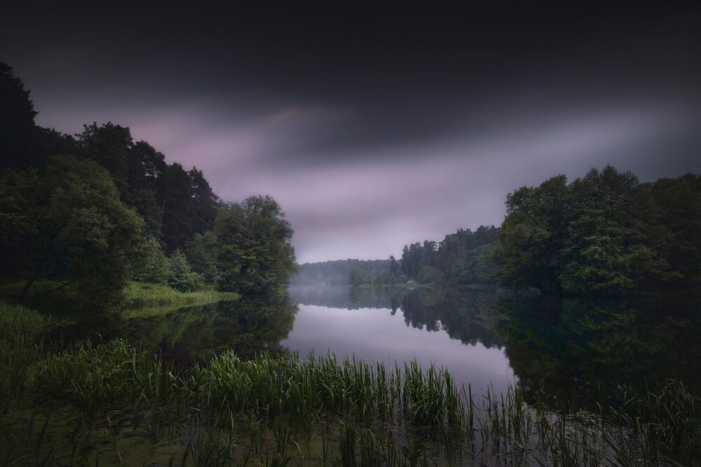 Перед грозой