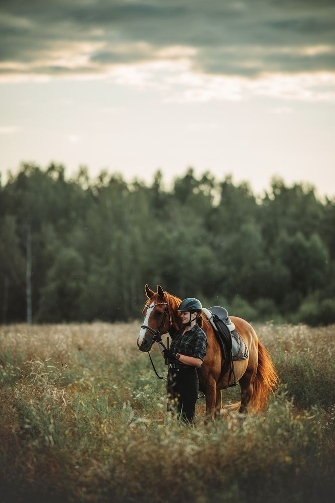 Photograph by Алина Долгова