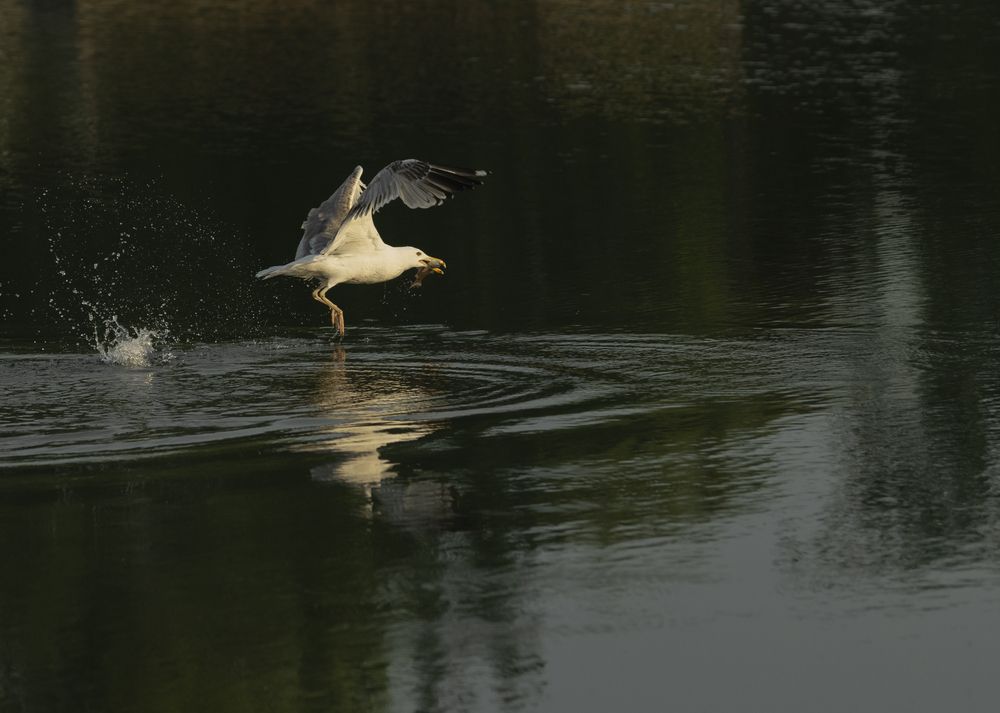 Photograph by Валентина Кваскова