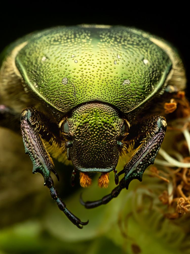 Photograph by Sergio Gomez Dominguez