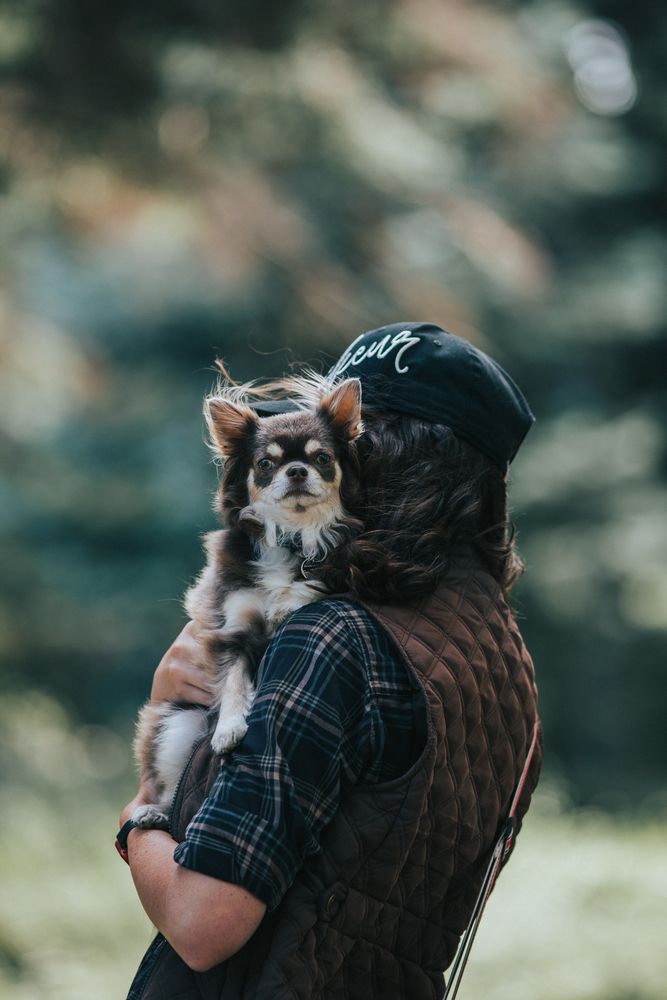 Photograph by Алина Долгова