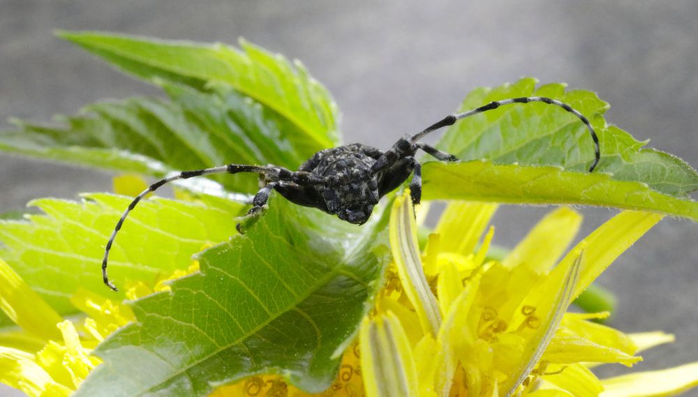 Photograph by Олег С