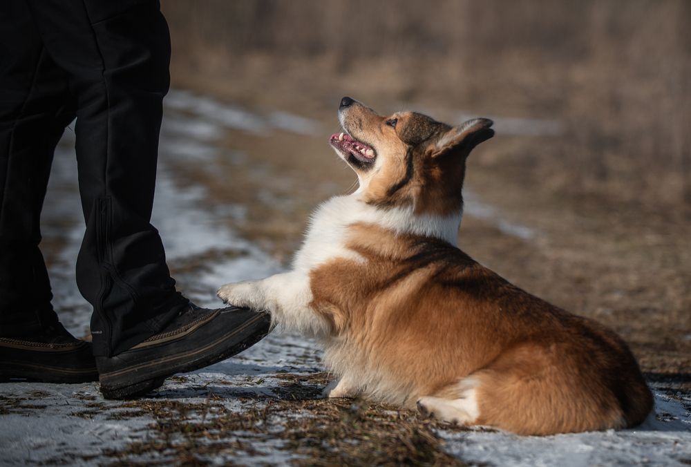 Photograph by Анна Орлова