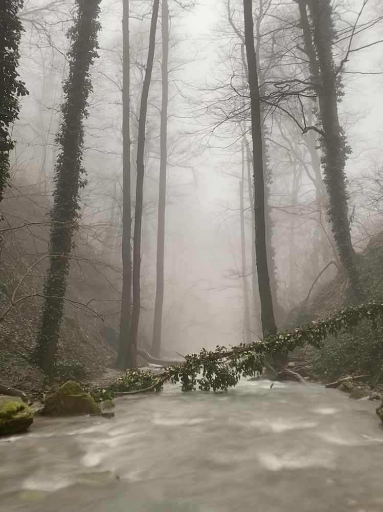 Фотография автора Андрей Васильев
