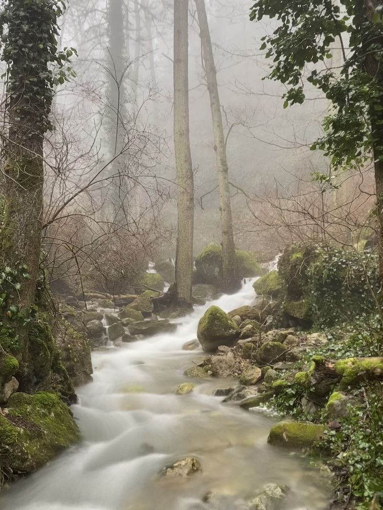 Фотография автора Андрей Васильев