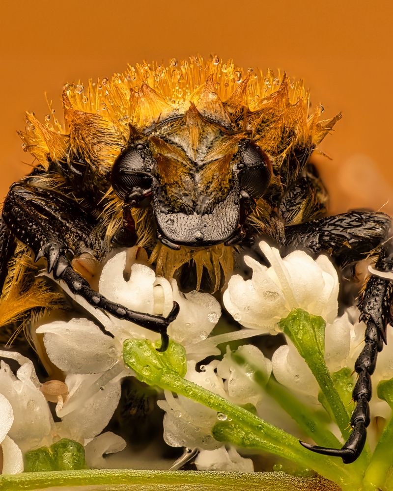 Photograph by Sergio Gomez Dominguez