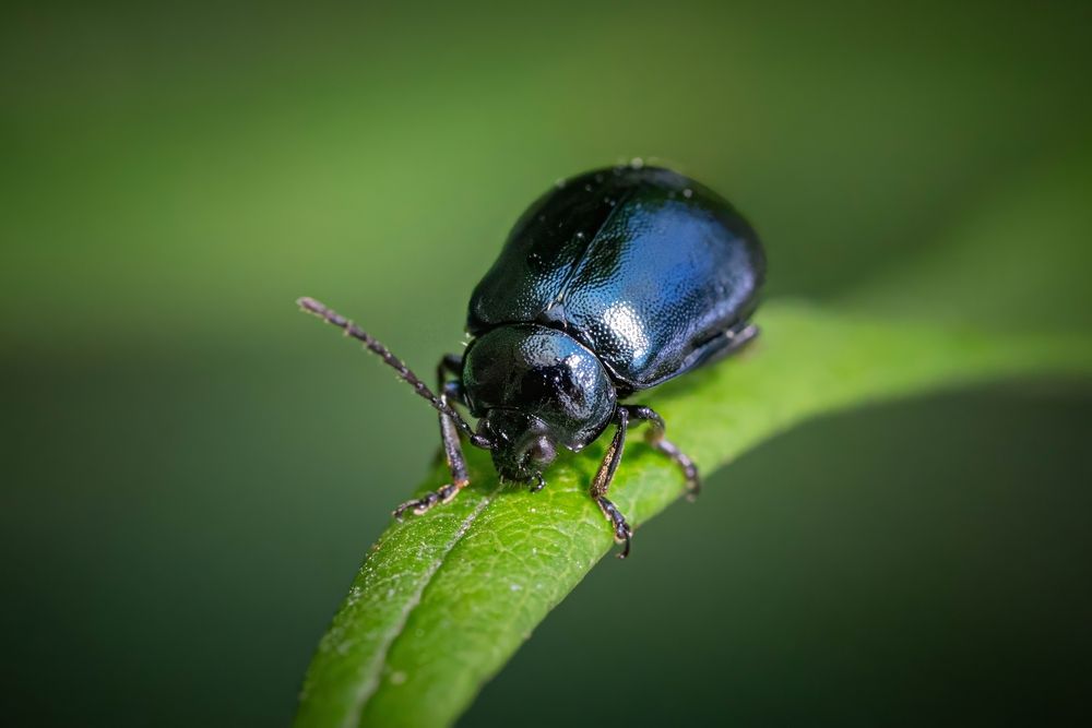 Photograph by Игорь Иванов