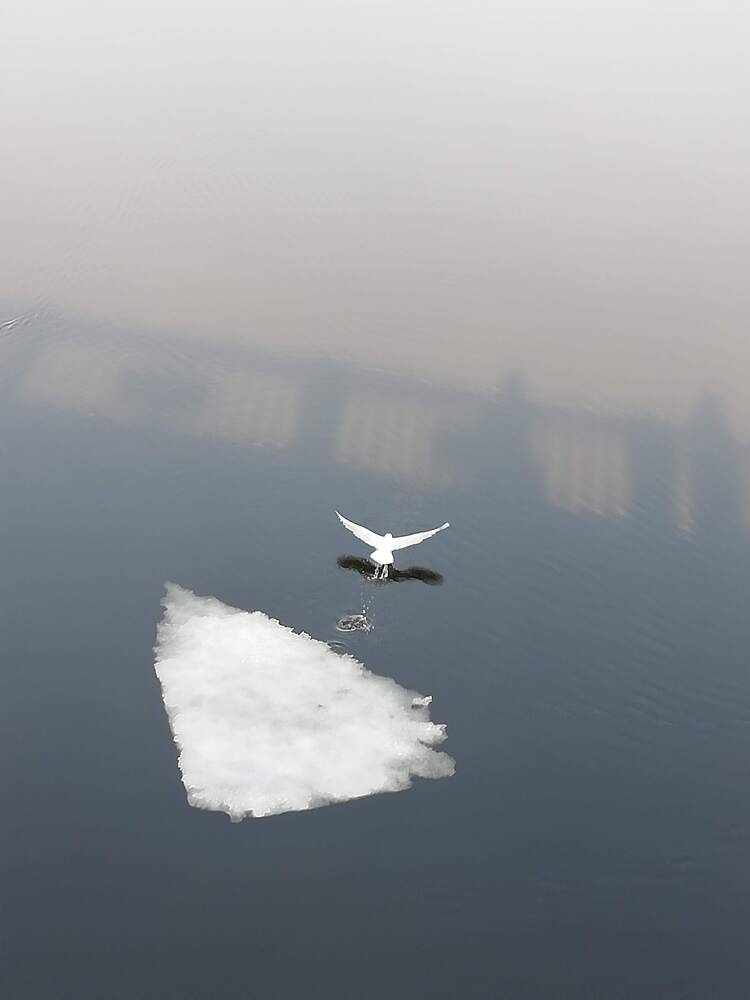 Фотография автора Кристина Киселёва