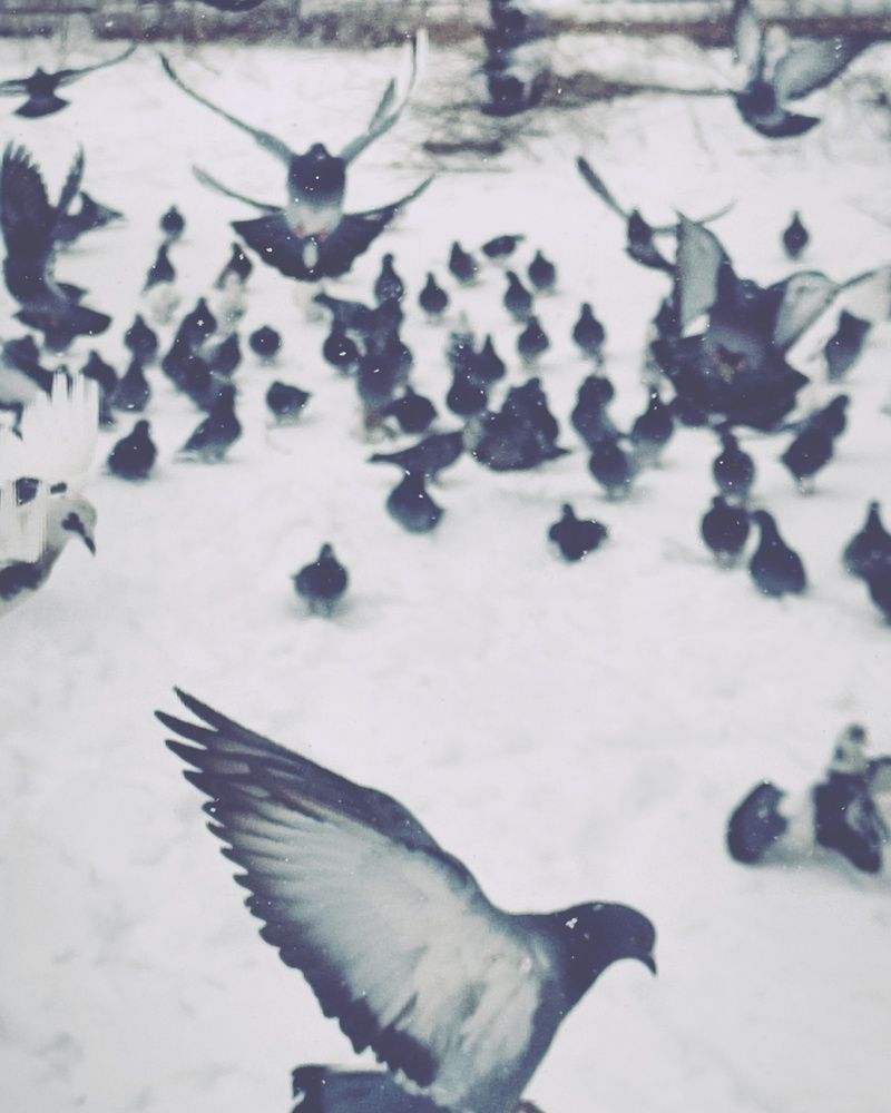 Фотография автора Наталья Силантьева