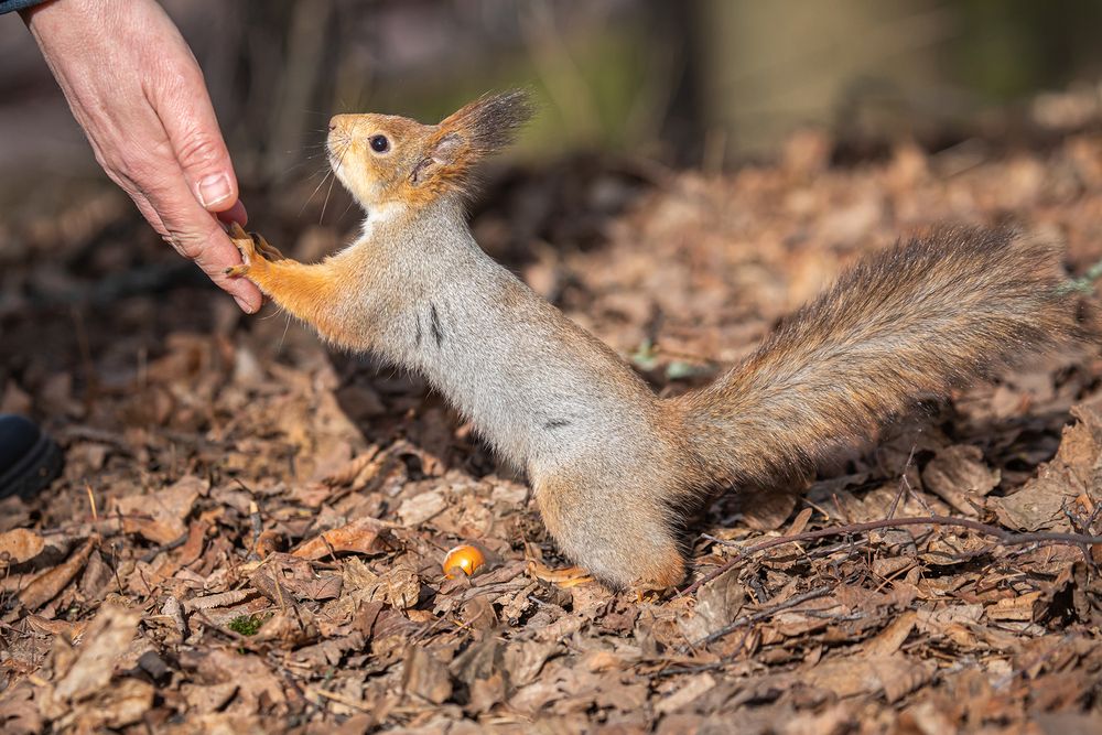 Photograph by Волынский Виктор