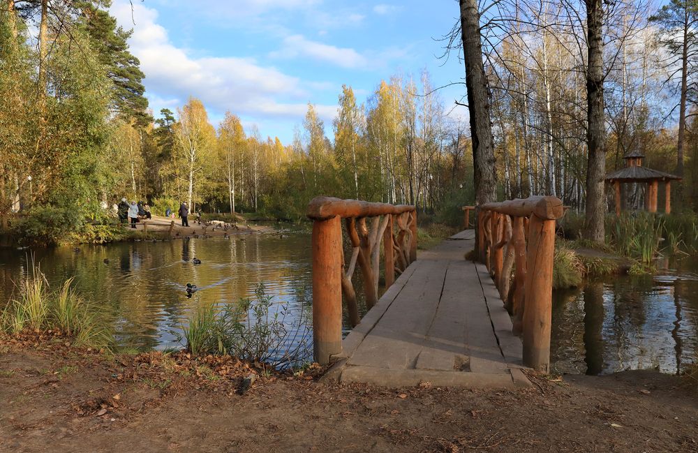 Photograph by Светлана Бакулина