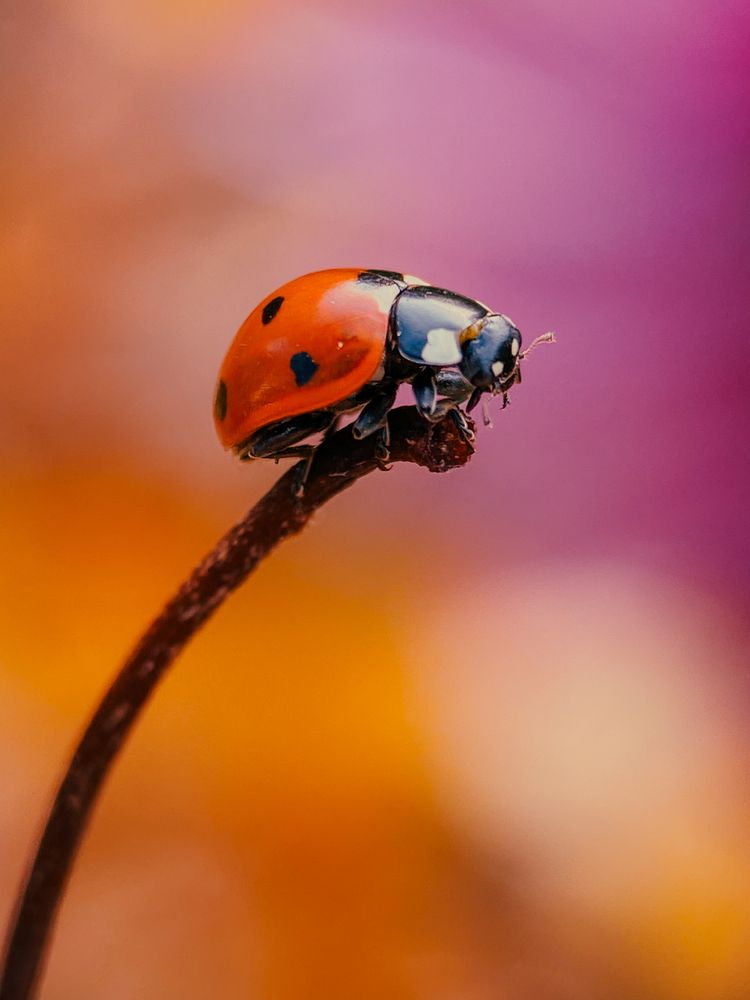 Фотография автора Андрей Васильев