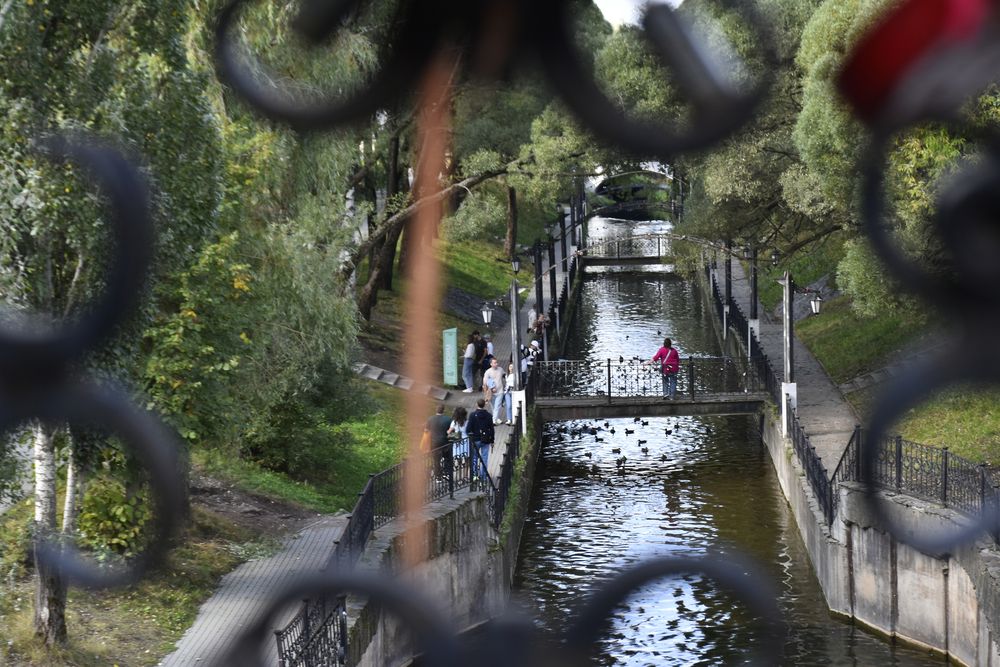 Фотография автора Анастасия Данина