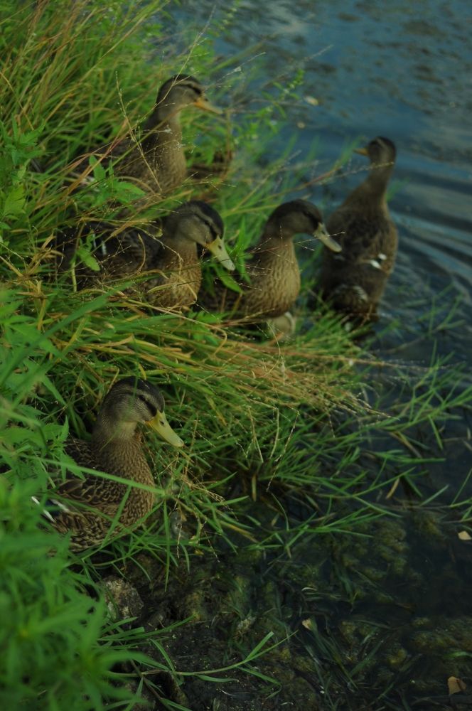 Фотография автора Кристина Киселёва