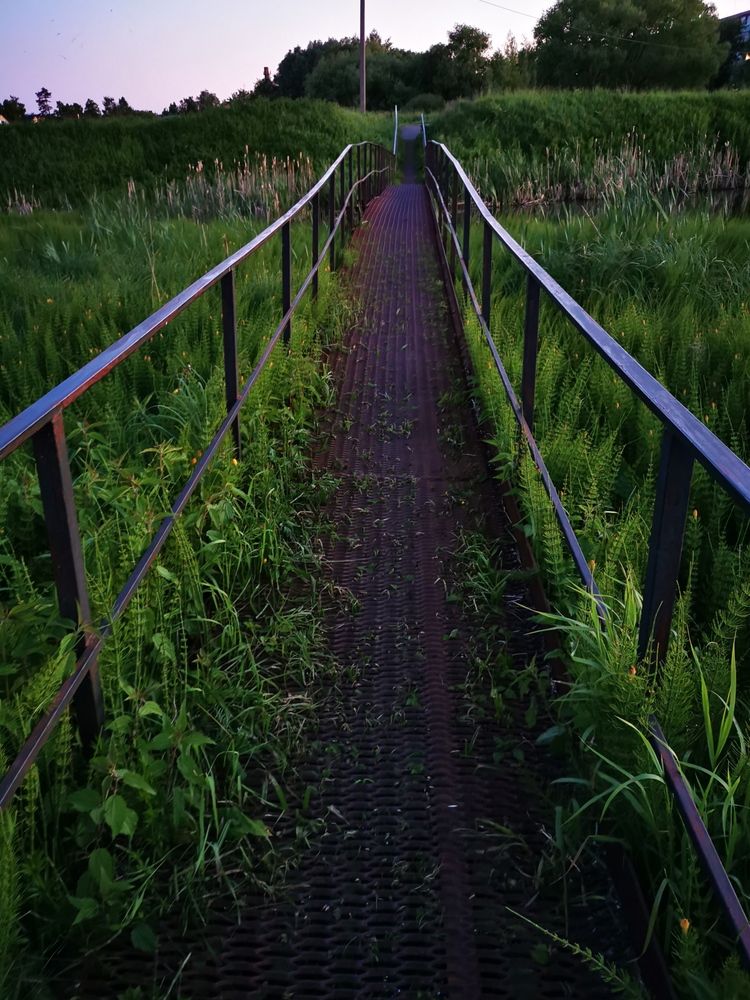 Photograph by Юлия Горелова