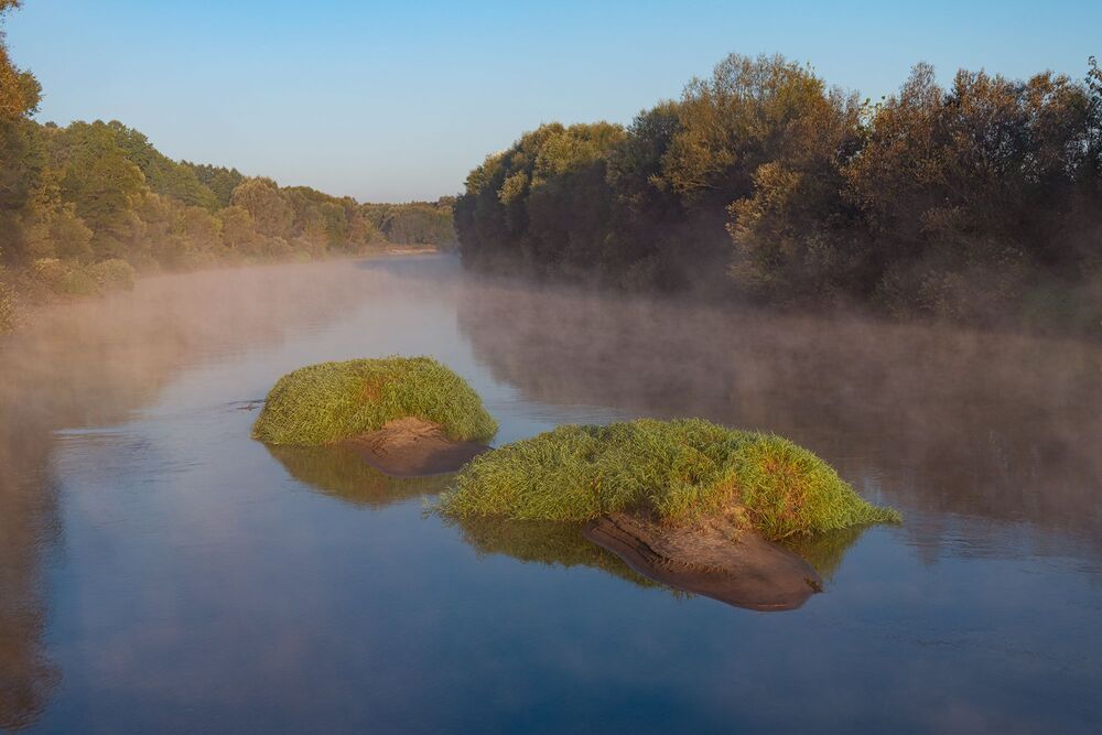 Плывущие в тумане