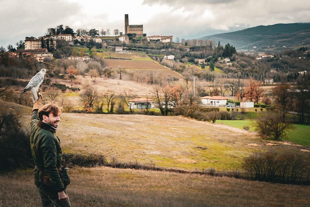 Фотография автора Veronica Cipolla