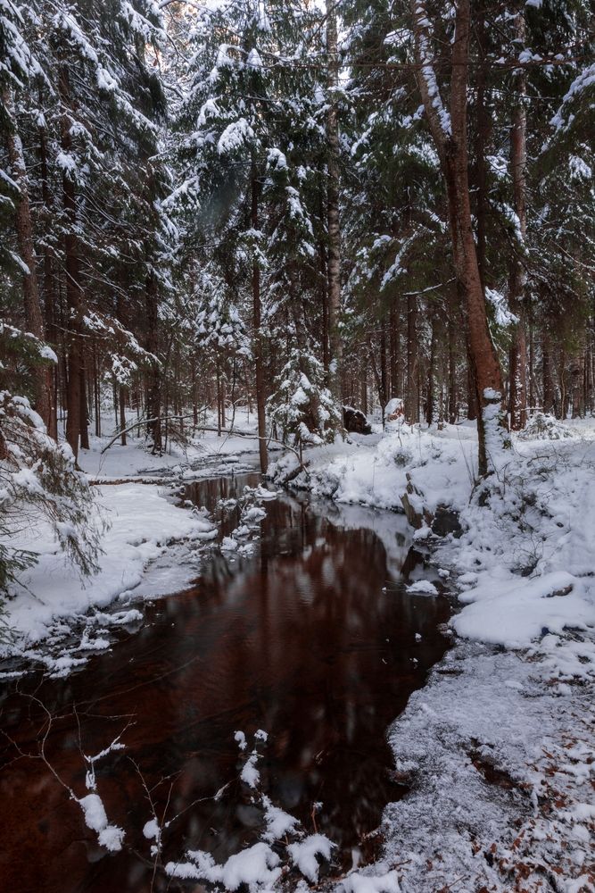 Photograph by Ксения Зайцева