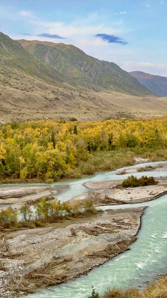 Photograph by Ольга Бибекина