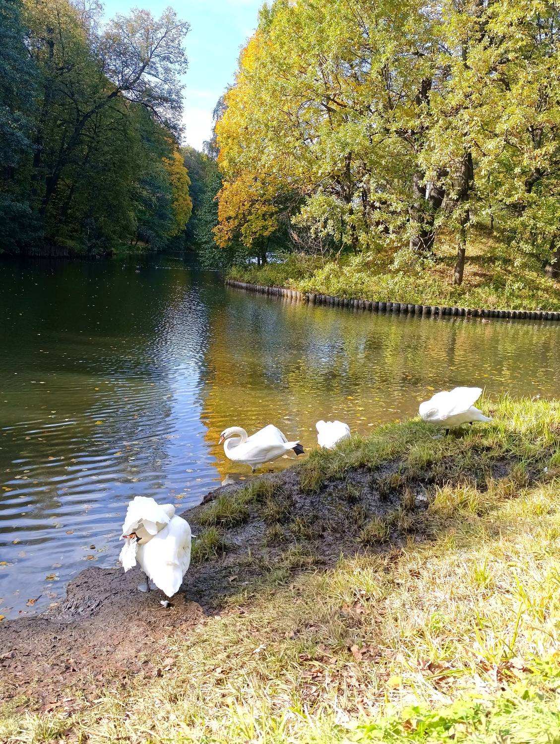 Фотография #13234984