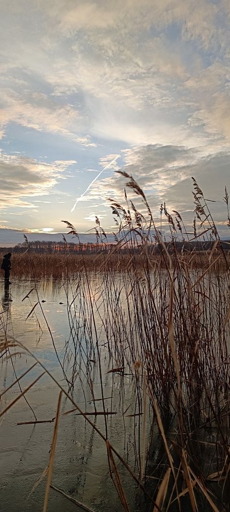 Photograph by Елена Калинина
