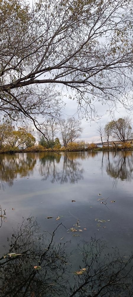 Photograph by Елена Калинина