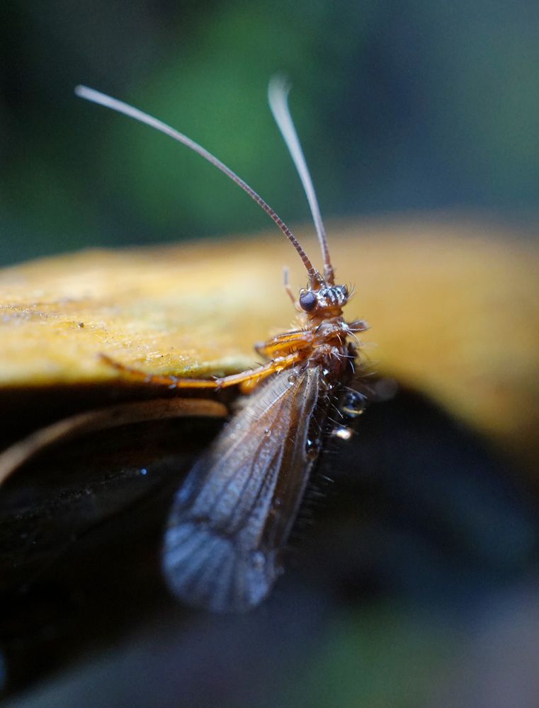 Photograph by Лена Максимкина
