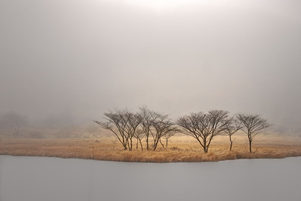 Photograph by Iwamoto Reina