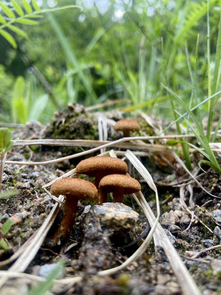 Photograph by Tanya Baydanova