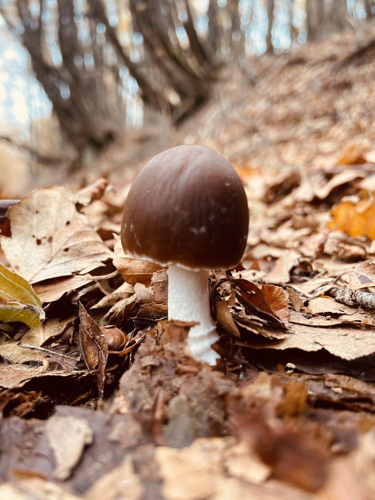 Photograph by Tanya Baydanova